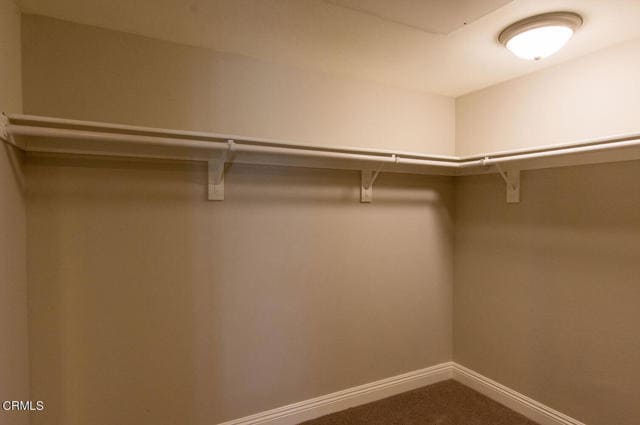 Building Photo - 4390 Tradewinds Dr