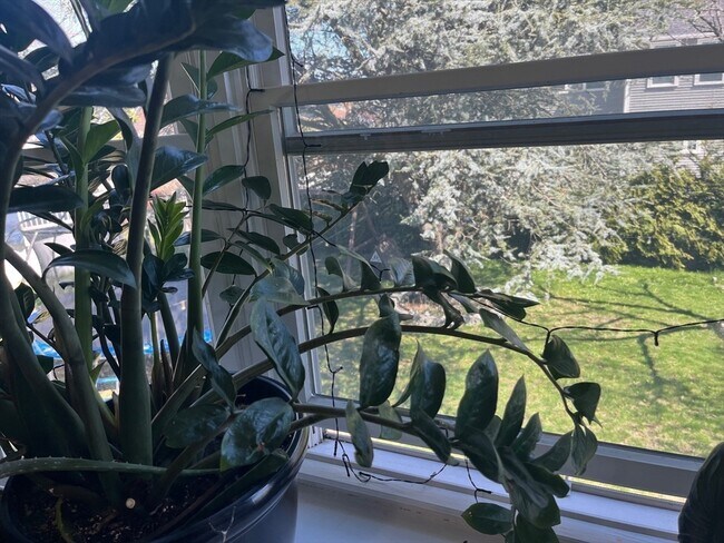 Building Photo - 94 Oakwood Ave