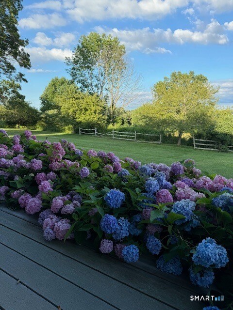 Building Photo - 187 Old Mt Tom Rd