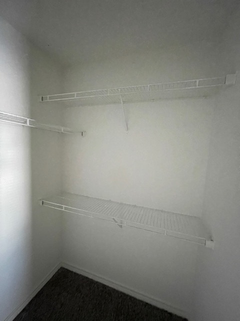 Building Photo - 2527 Pascal Ct