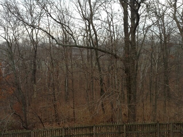 Building Photo - 6804 Trevino Way