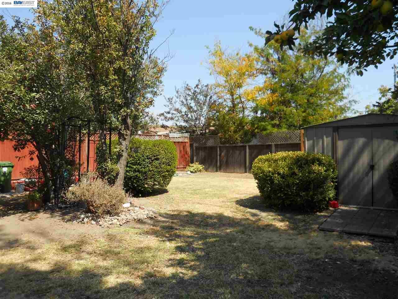 Backyard 2 - 19358 San Miguel Ave