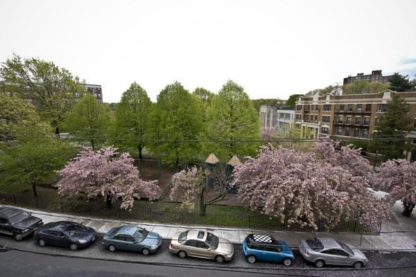 Building Photo - 117 Chiswick Rd