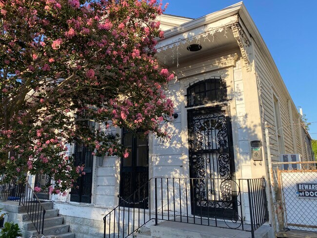 Primary Photo - 1232 Touro St