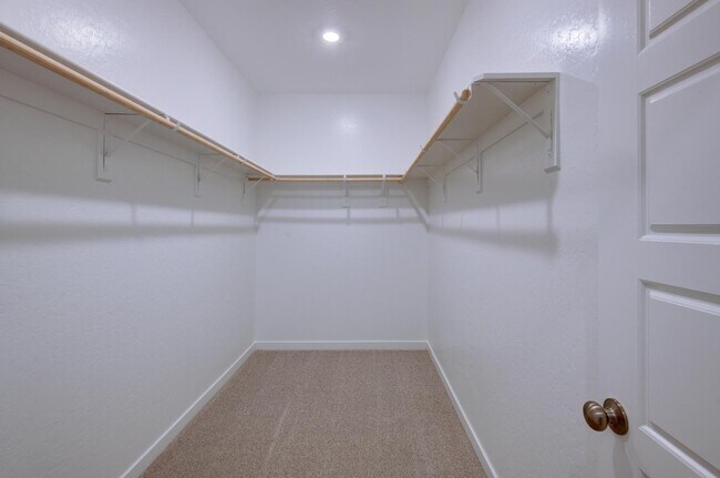 Building Photo - 905 Plum Tree Ave