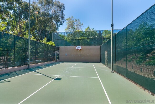 Basketball Court - 1605 Hotel Cir S
