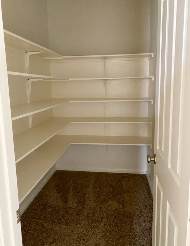 Building Photo - 2904 Tempe Dr