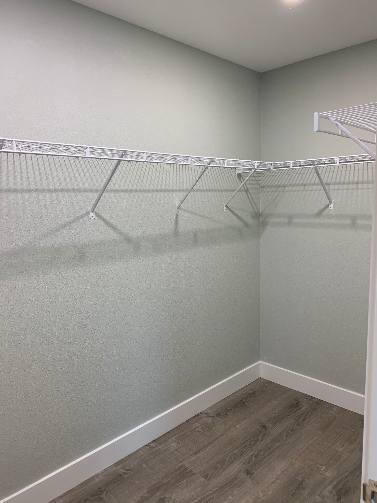 Walk-in primary closet - 2940 Sarletto St