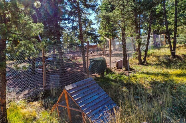 Building Photo - Backcountry Living