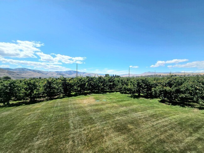 Building Photo - Massive House for Rent on a Cherry Orchard! Rental Options as a 4-bed or as two 2-beds!