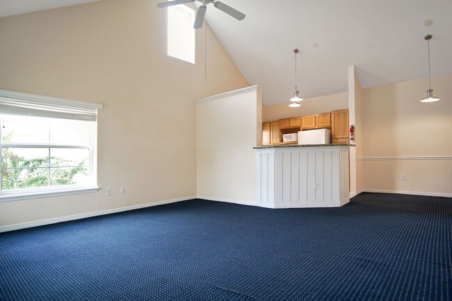 Building Photo - Runaway Beach Condo now available!