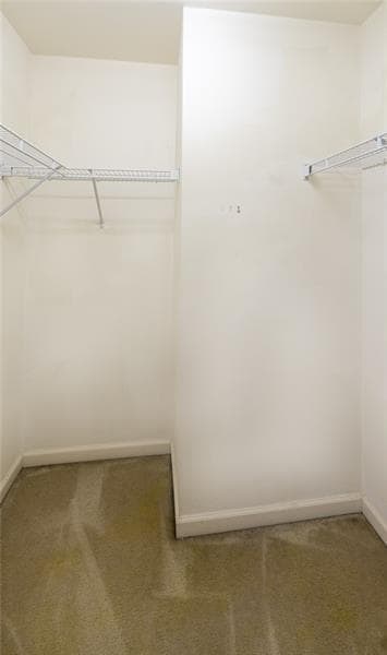 Building Photo - 3363 Hidden Cove Cir NW