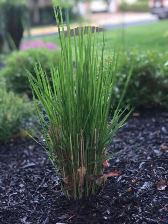 Building Photo - Heart's Desire End Unit Townhome 2700+ SqFt - Lowes Island