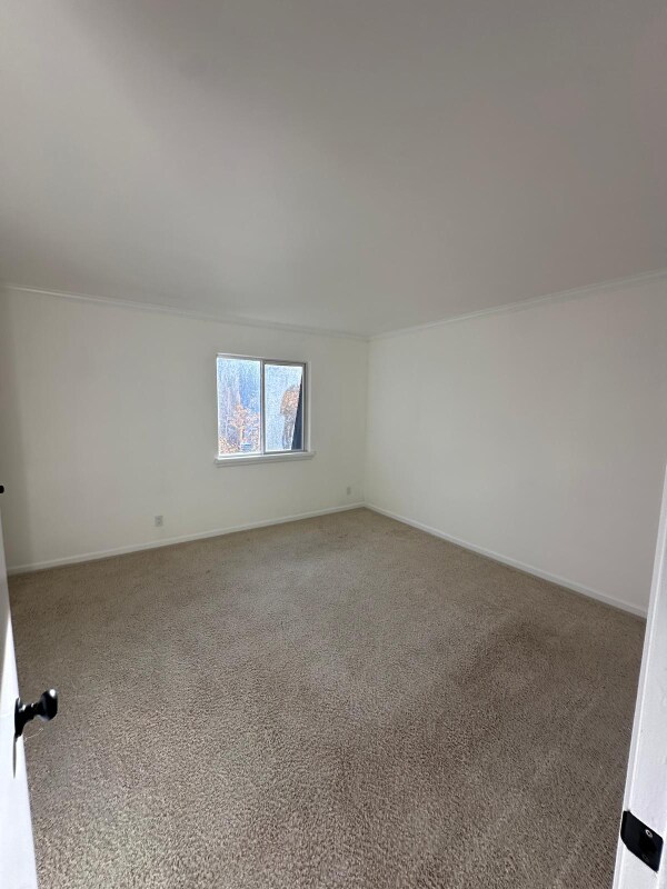 Building Photo - 331 Holland Hills Rd