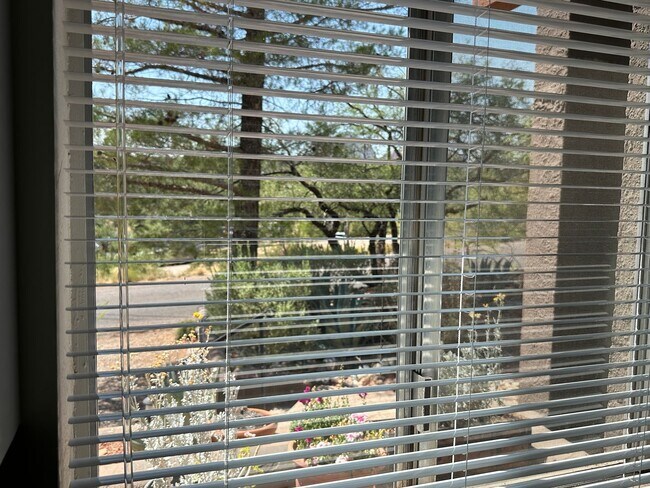Building Photo - APARTMENT - UPTOWN SEDONA