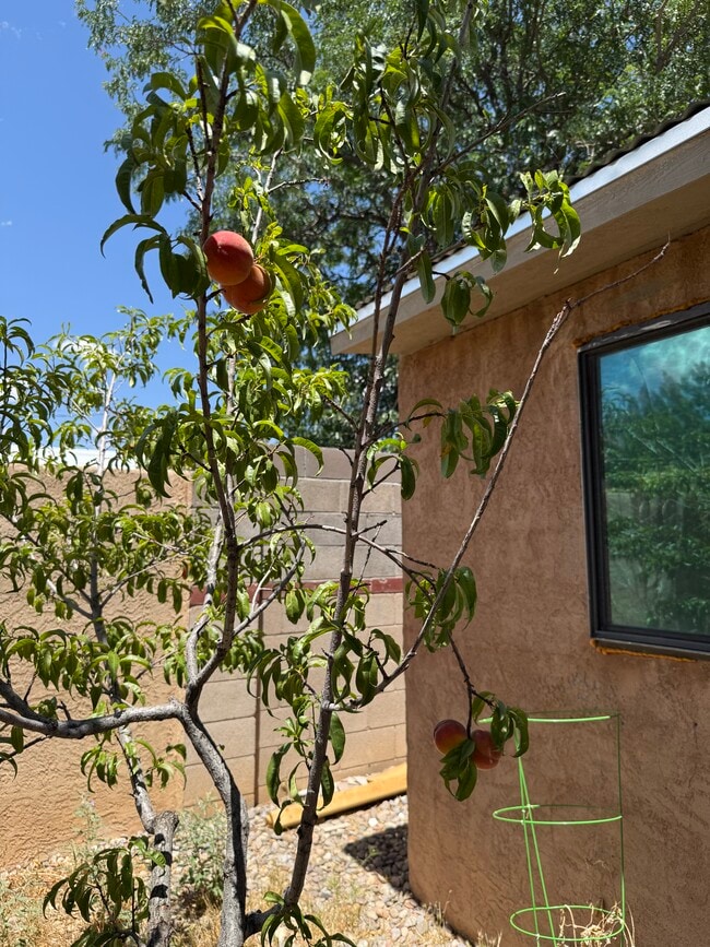 Building Photo - 2834 Montclaire Dr NE