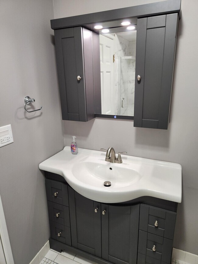 Guest bathroom vanity and medicine cabinet. - 434 Clinton Pl
