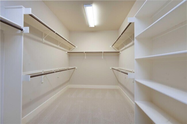 Building Photo - 210 Rivulet Ln