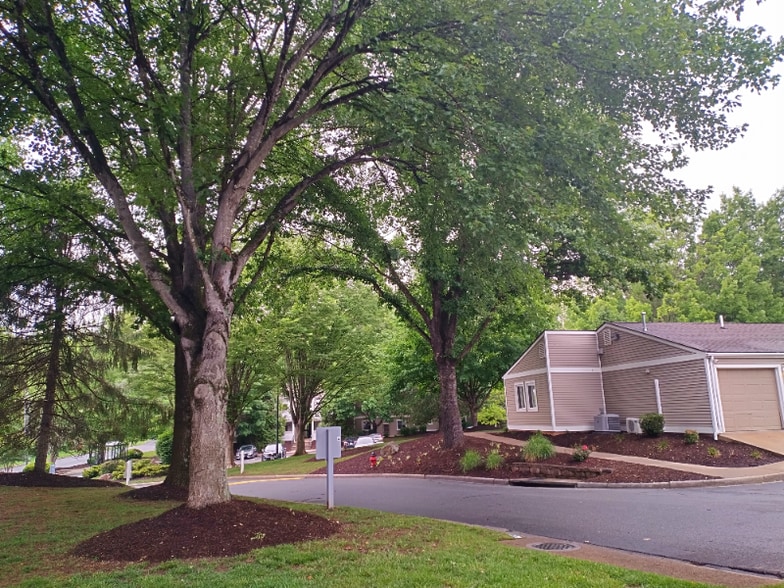 Primary Photo - 600 Reusens Rd