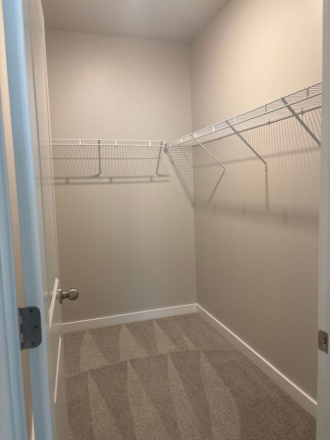 Building Photo - Beautiful 3 Bed 2 Bath Home in Shelbyville