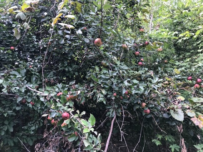 Building Photo - 5900 S River Hills Rd