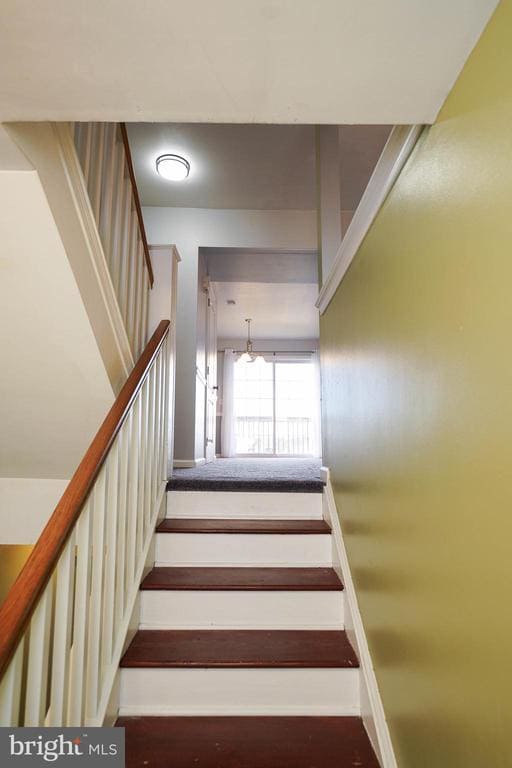 Building Photo - 641 Rosemary Dr