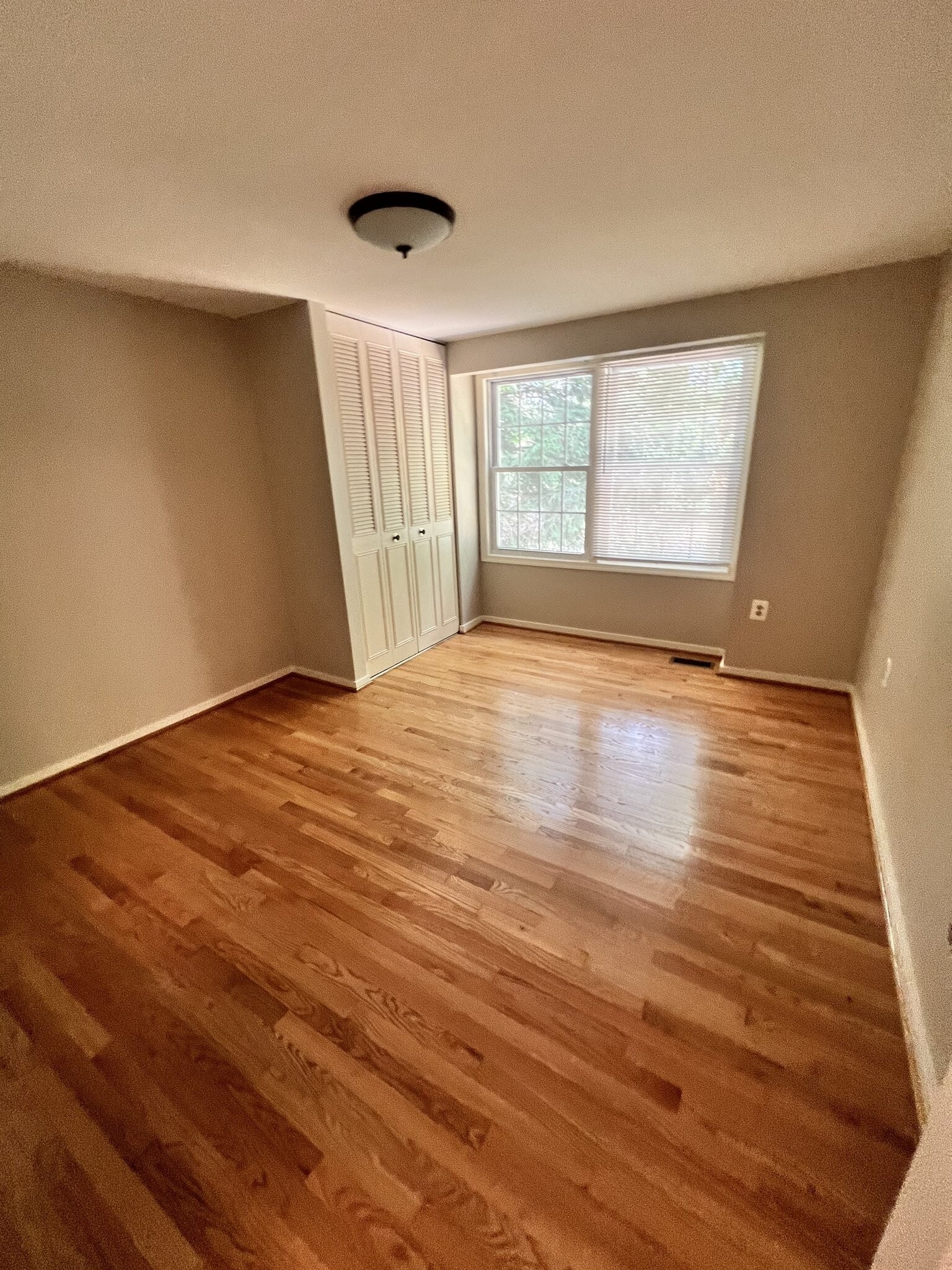 Building Photo - 2283 Dosinia Ct