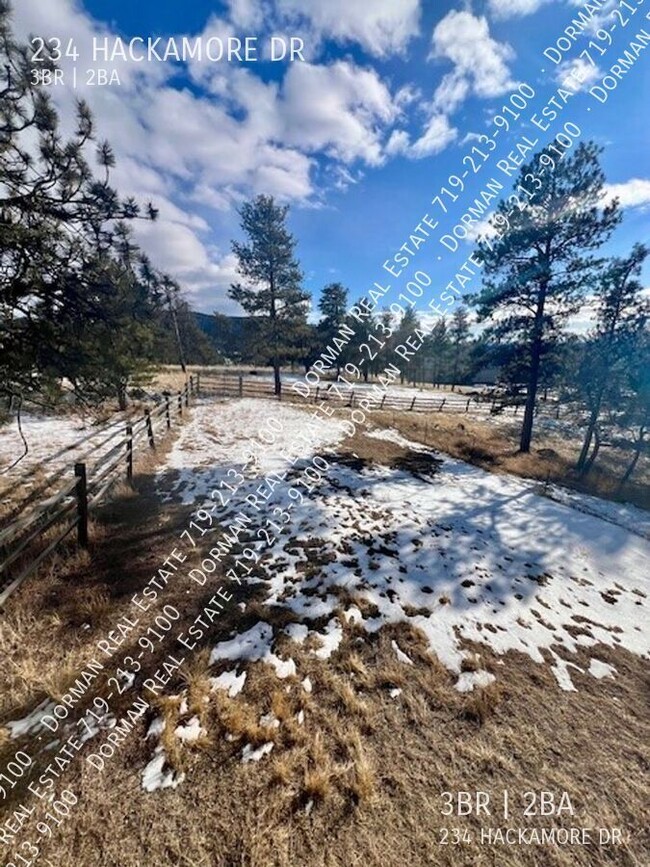 Building Photo - Spacious and Beautiful Mountain Home!