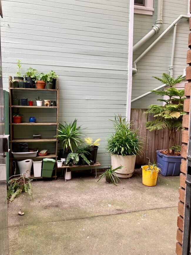 back of building potted plant garden - 1240 7th Ave