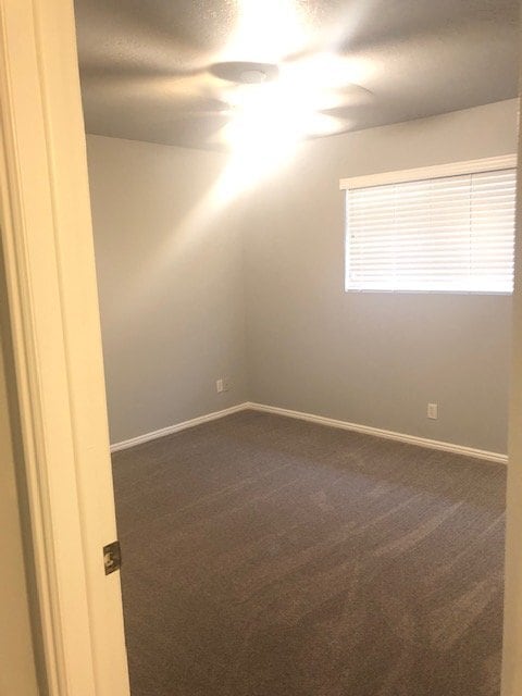Building Photo - 2904 Bloomington Hills Dr