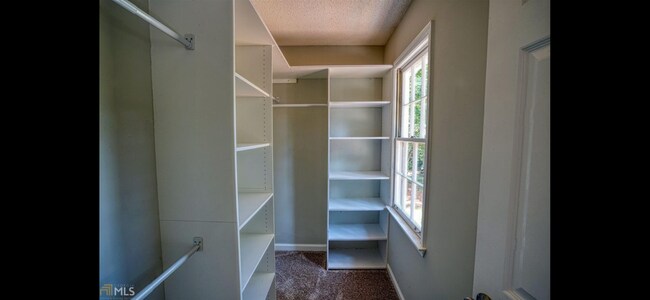 Building Photo - 4037 Coyte Dr