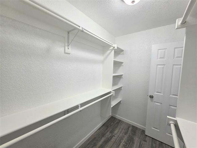 Building Photo - 1017 Springview Ln