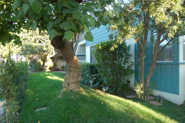 Building Photo - 11020-11028 Venice Blvd