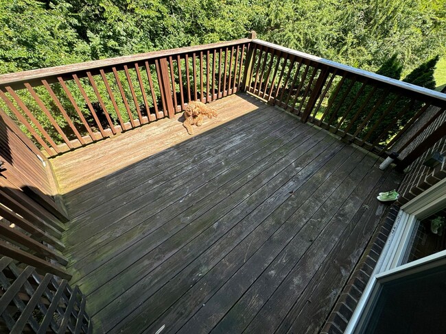 Building Photo - For Lease - 3 Bed, 2 Bath, 2445 sqft Home ...