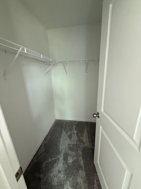 Building Photo - 5236 Luisa Ct
