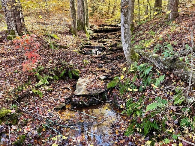 Building Photo - 221 Centennial Farm Ln