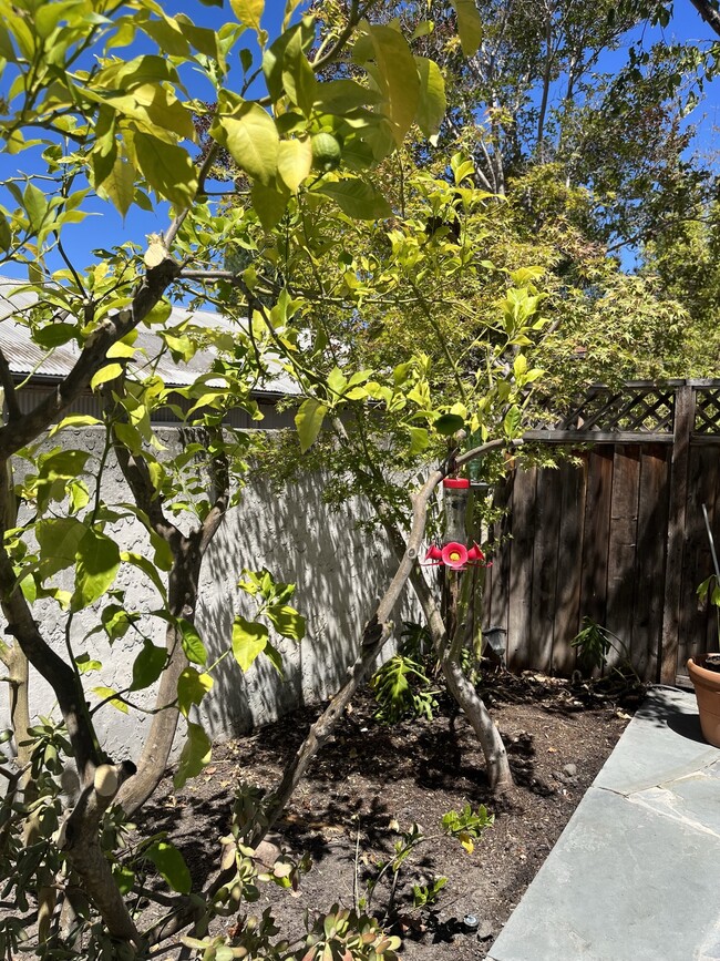 Building Photo - 185 Easy St