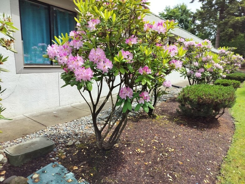 Building Photo - 25426 97th Pl S