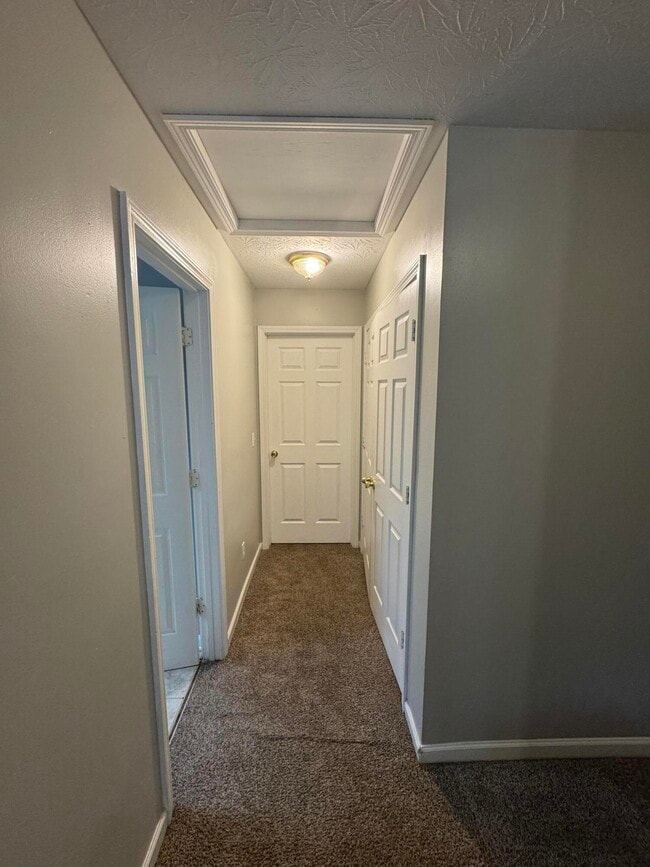 Building Photo - 228 Mousas Way