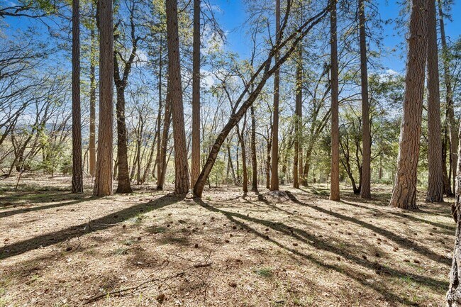 Building Photo - Craftsman Retreat in Camino – Updated 4BR Home on Quiet Lot!