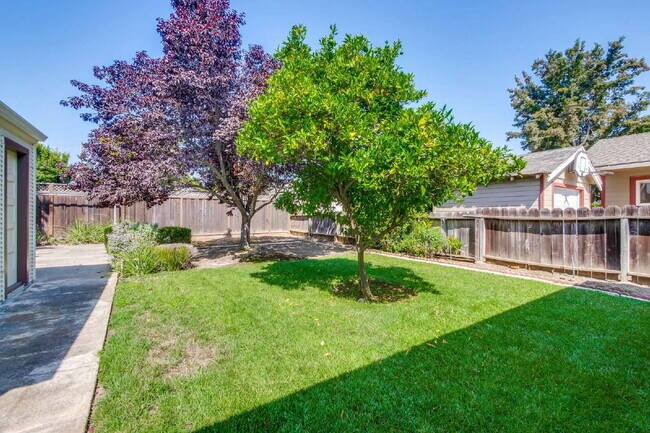 Building Photo - Bright, Clean and Cozy 2BR, 1BA Single Fam...