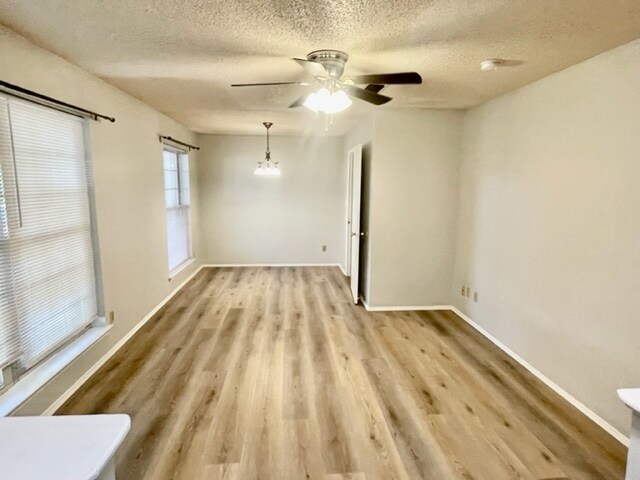 Building Photo - Saucer