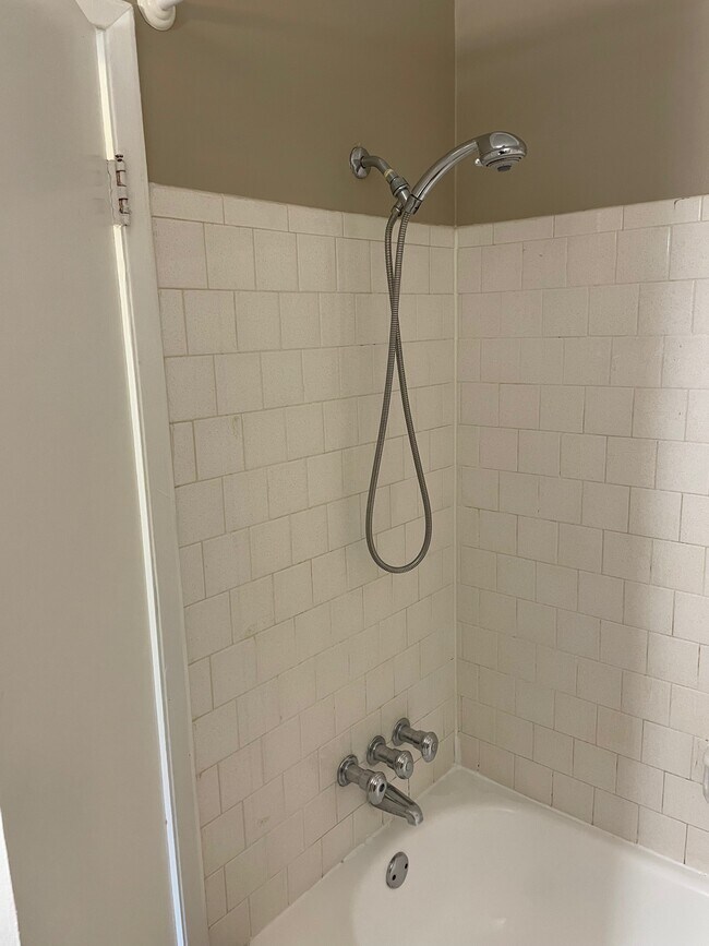 Master Bathroom - 6099 Majors Ln