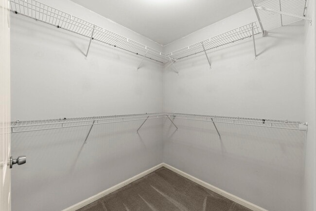 Building Photo - 2430 Caton Crest Ct
