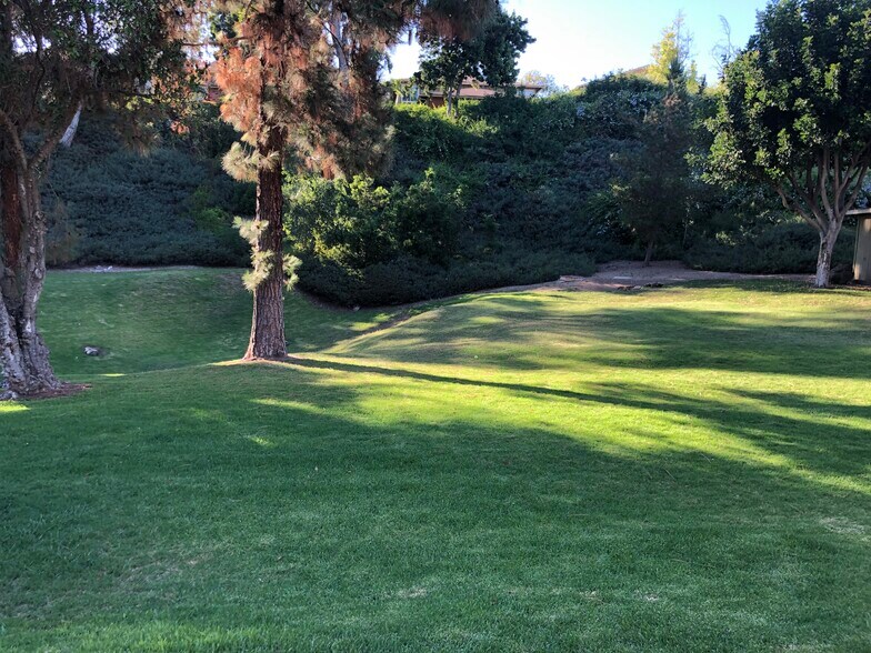 Backyard open space - 10460 Caminito Sulmona