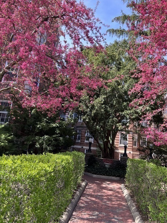 Building Photo - 41 Linnaean St