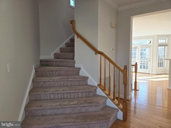 Building Photo - 8183 Skelton Cir