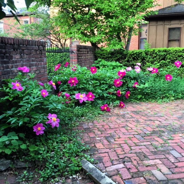 Building Photo - 117 E Sycamore St