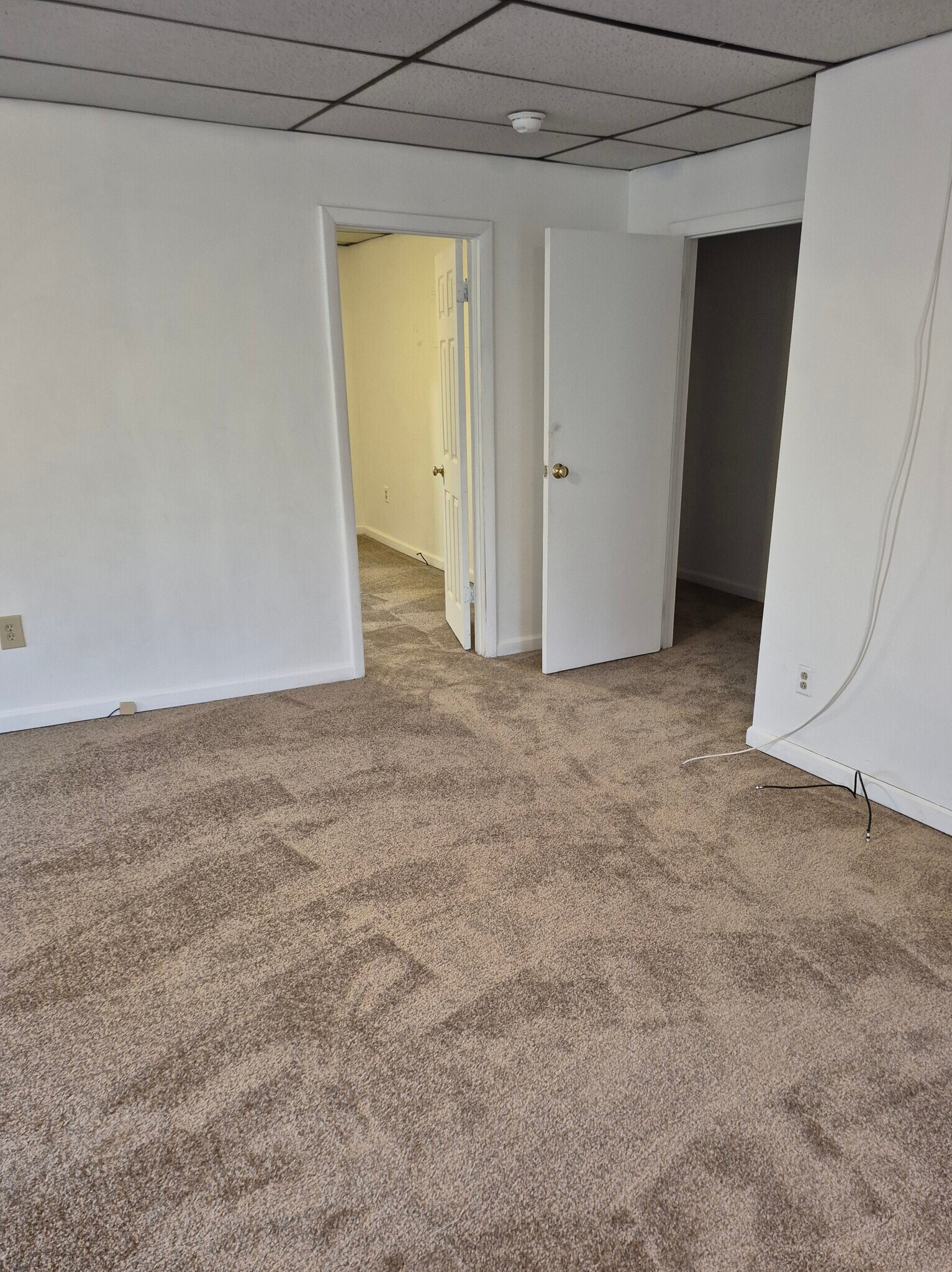 Living room with doors to bedroom and back hallway - 501 Beatty Rd