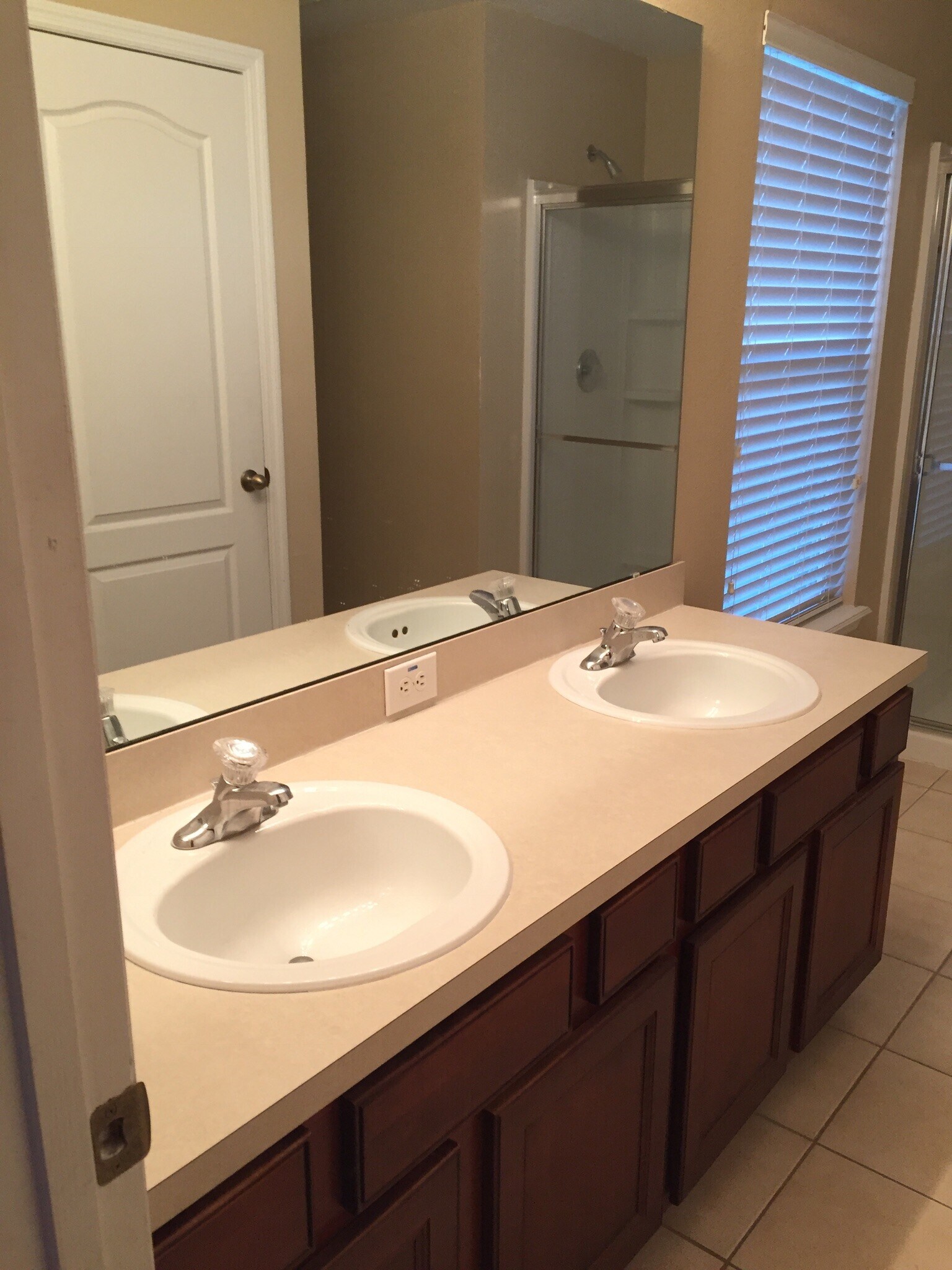 Masters bath - 4045 Pemberly Pines Cir